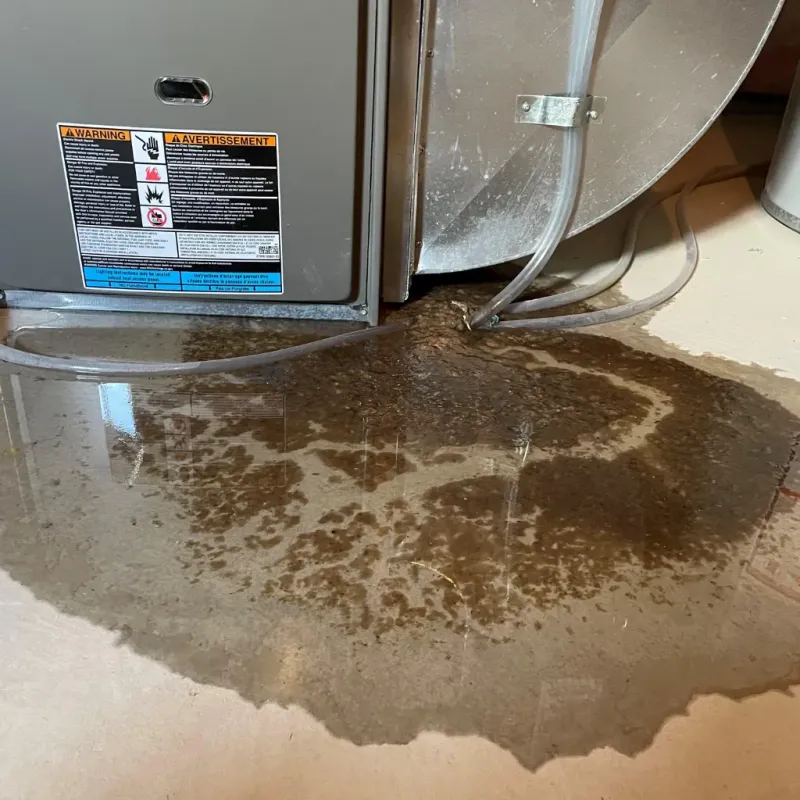 Appliance Leak Cleanup in Velda Village, MO