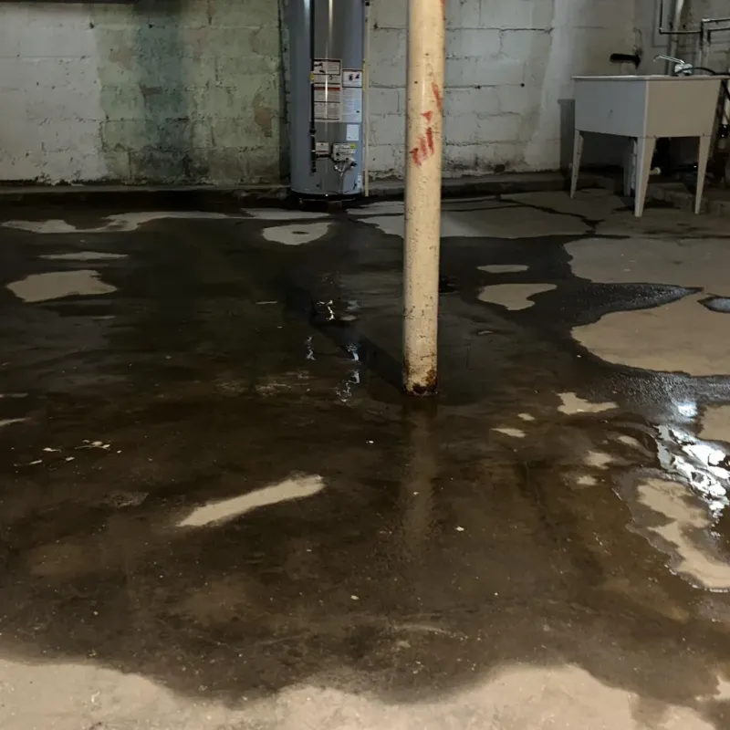 Emergency Water Extraction And Removal in Velda Village, MO